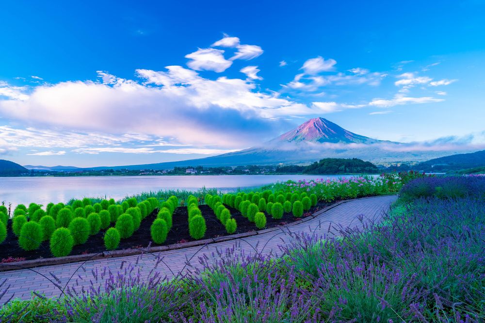 河口湖の画像 - 7枚目