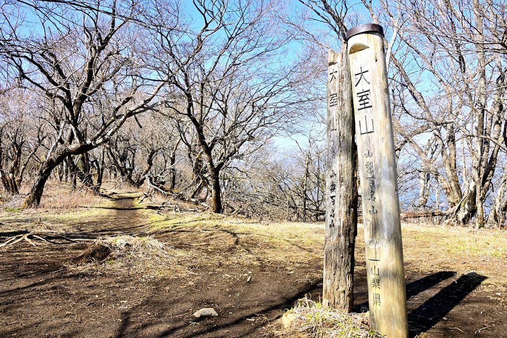 大室山の画像 - 5枚目