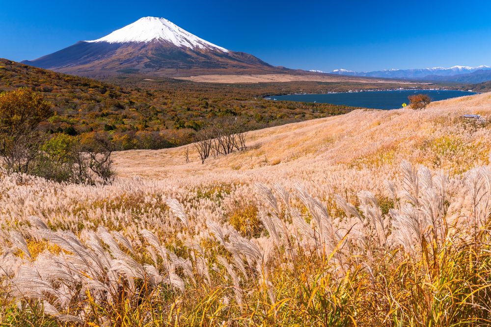 パノラマ台 (山中湖)の画像 - 4枚目