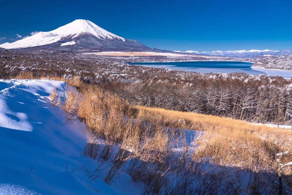 パノラマ台 (山中湖)の画像 - 5枚目