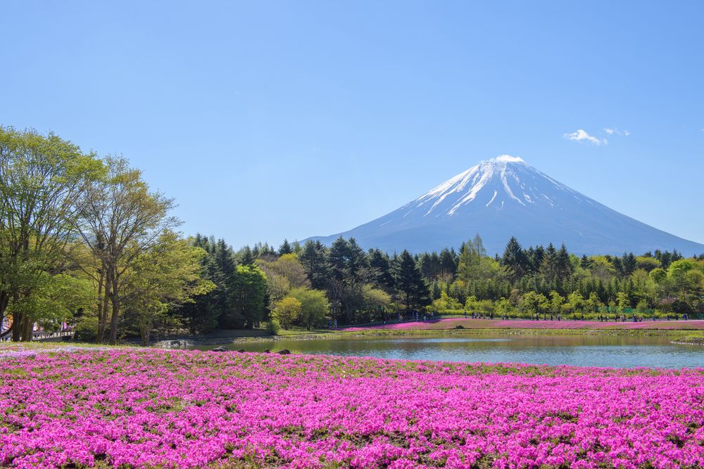 本栖湖の画像 - 2枚目