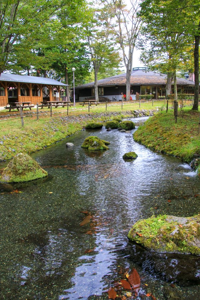 さかな公園の画像 - 3枚目
