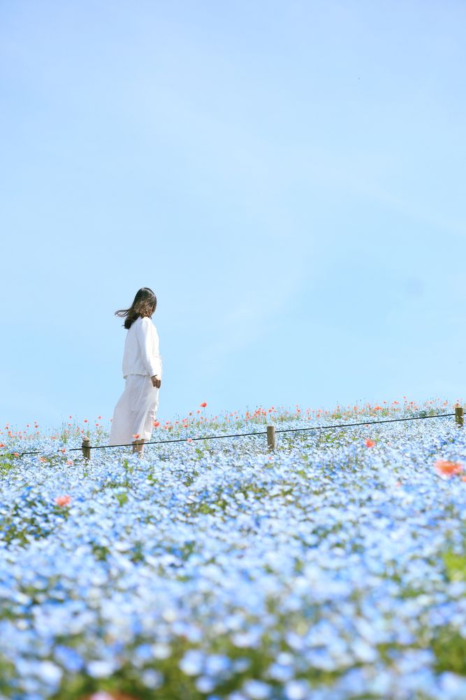 国営ひたち海浜公園の画像 - 3枚目