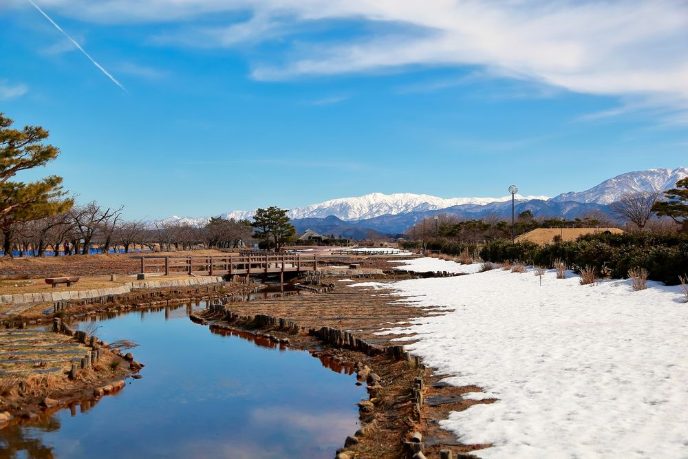 瓢湖水きん公園の画像 - 2枚目
