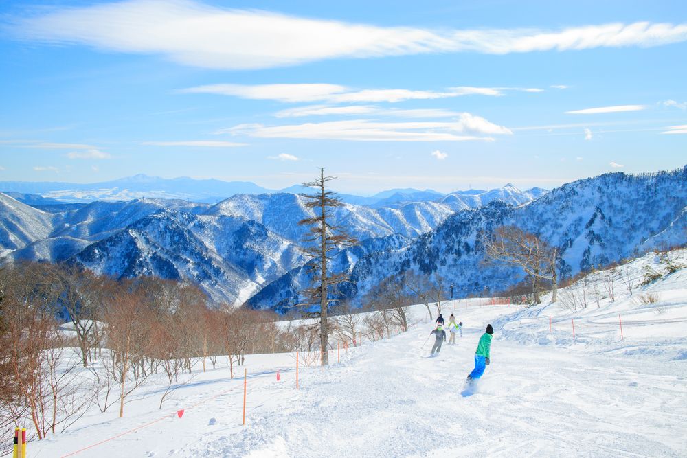 苗場スキー場の画像 - 5枚目