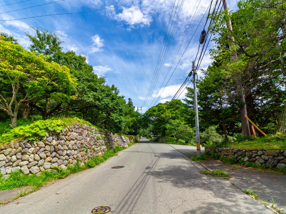 高遠城跡の画像 - 2枚目