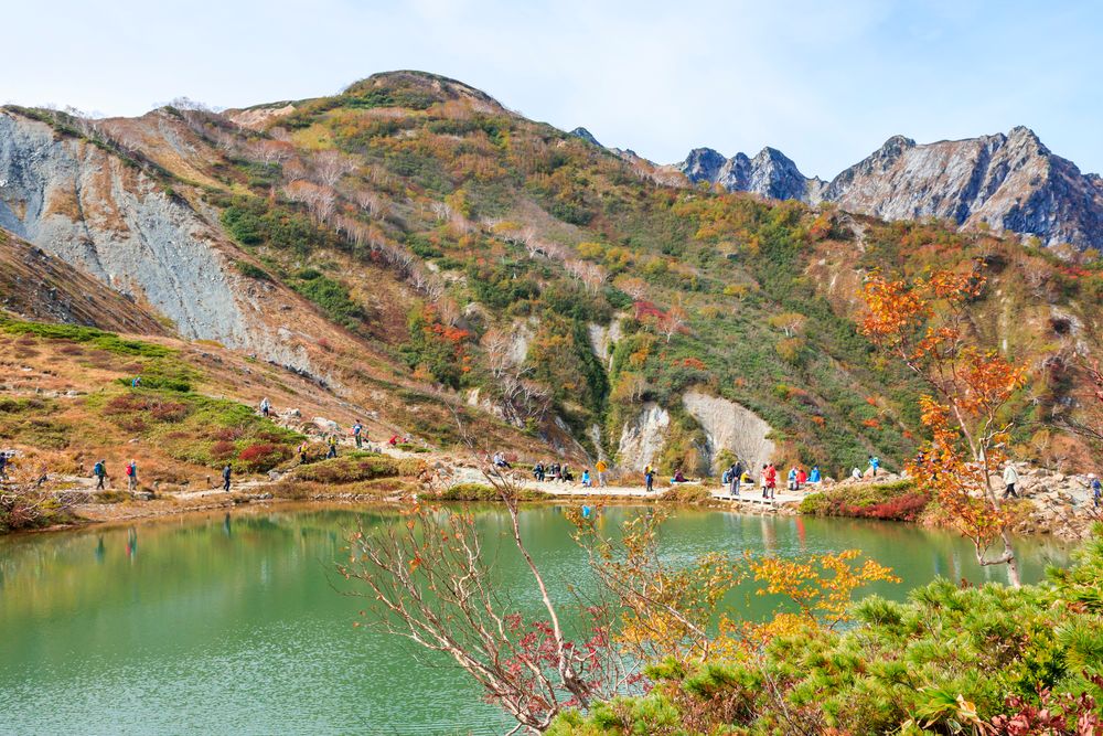 景石（八ヶ岳） 景石（八ヶ岳） 景石（八ヶ岳）