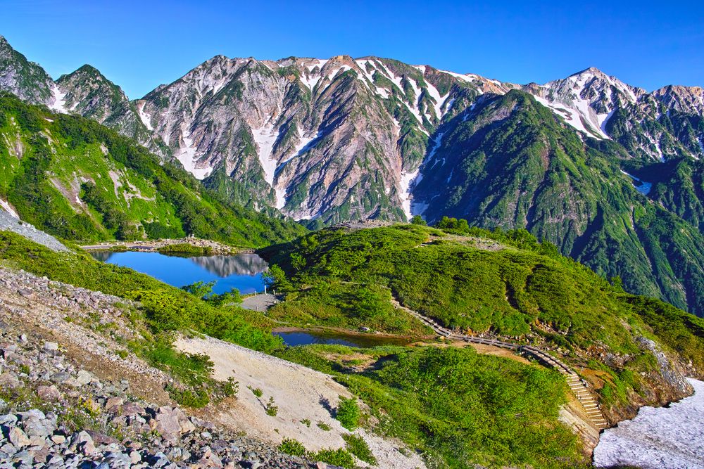 景石（八ヶ岳） 景石（八ヶ岳） 景石（八ヶ岳）