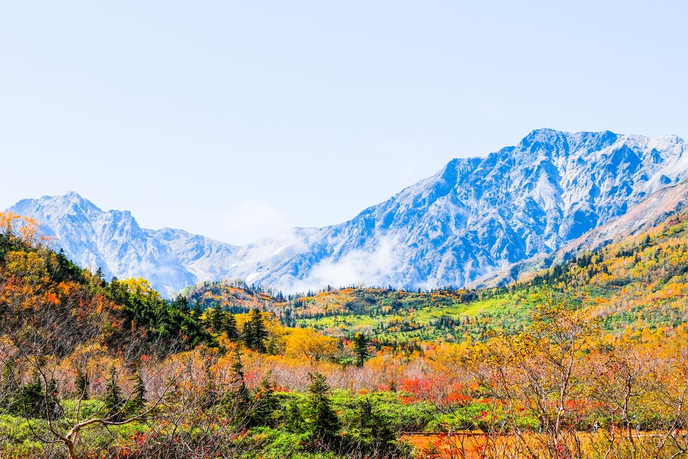 栂池自然園の画像 - 4枚目