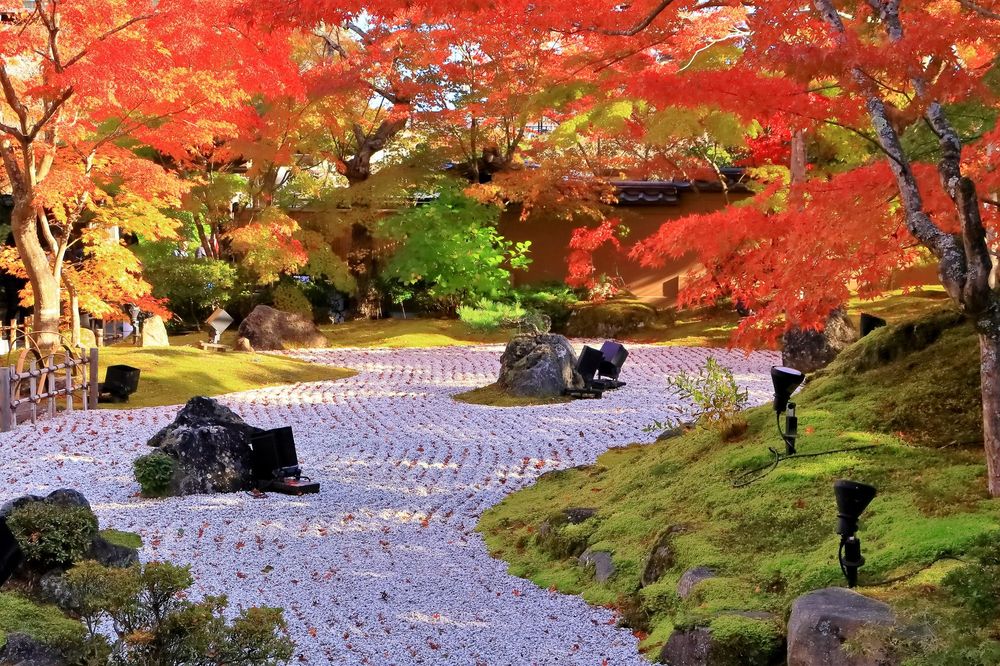 円通院の画像 - 3枚目