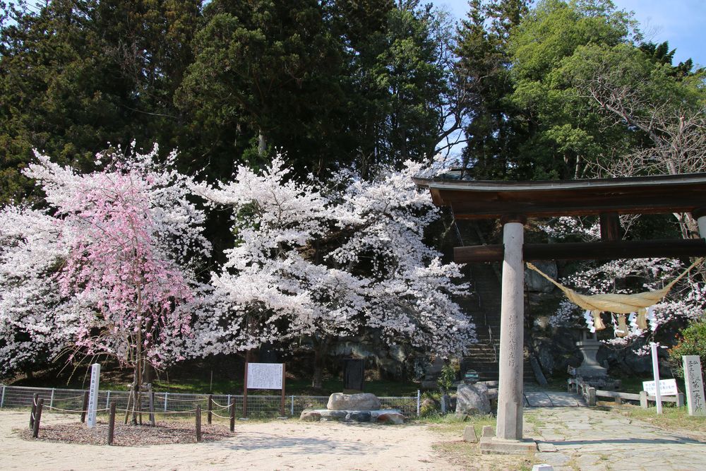 田村神社(大元明王)の画像 - 2枚目