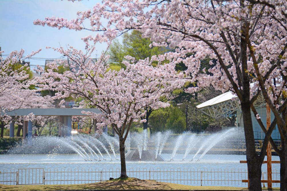 開成山公園の画像 - 2枚目