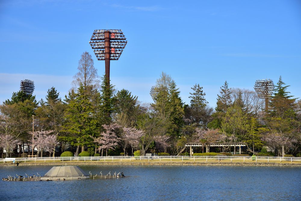 開成山公園の画像 - 4枚目