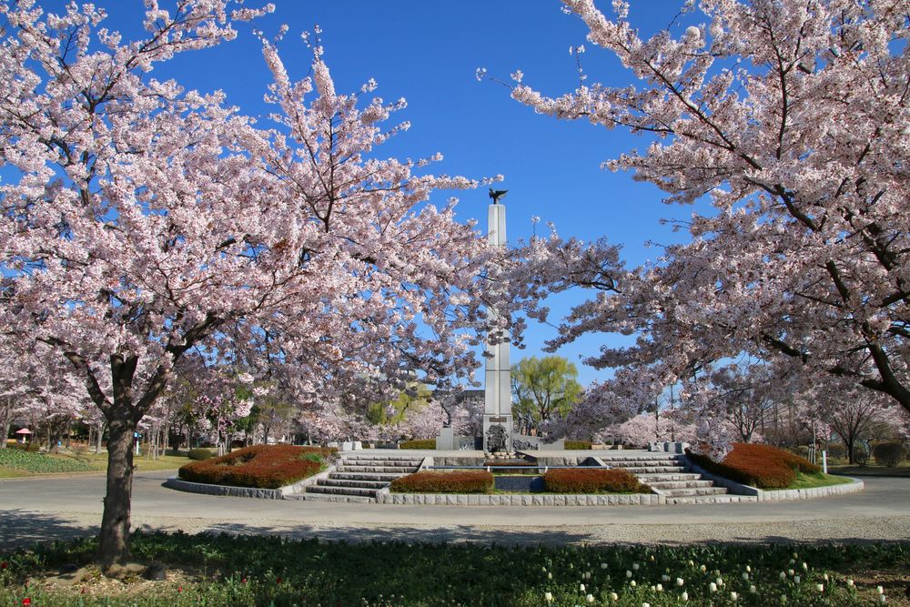 開成山公園の画像 - 5枚目