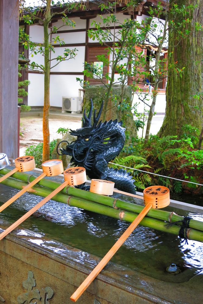 白鬚神社の画像 - 3枚目