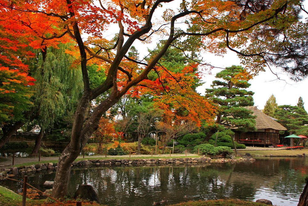 御薬園の画像 - 3枚目