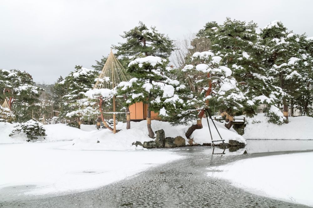 御薬園の画像 - 5枚目