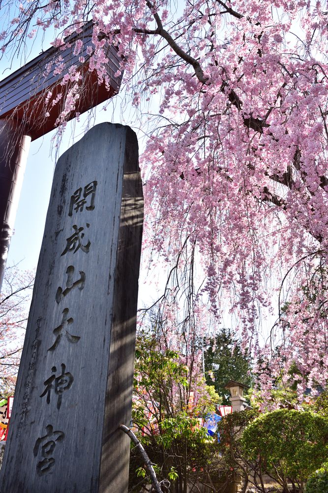 開成山大神宮の画像 - 6枚目