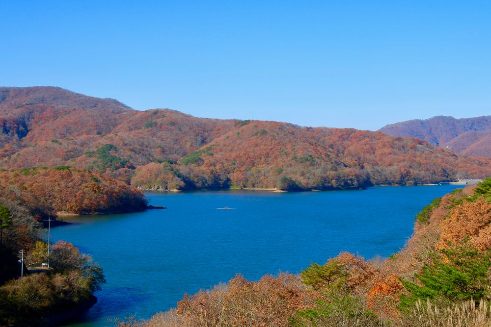 羽鳥湖の画像 - 4枚目