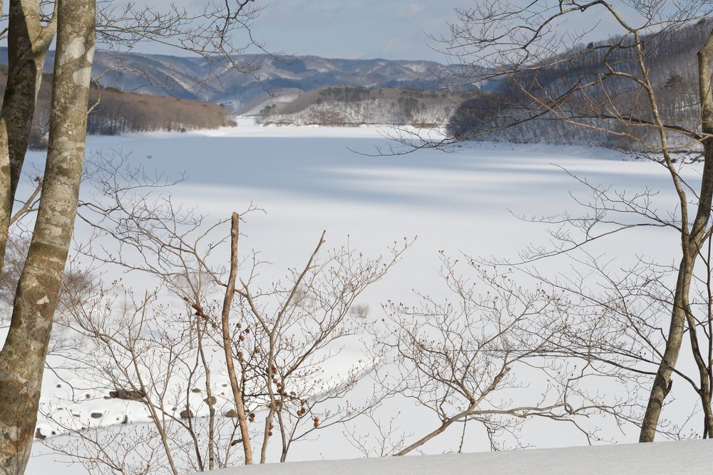 羽鳥湖の画像 - 5枚目