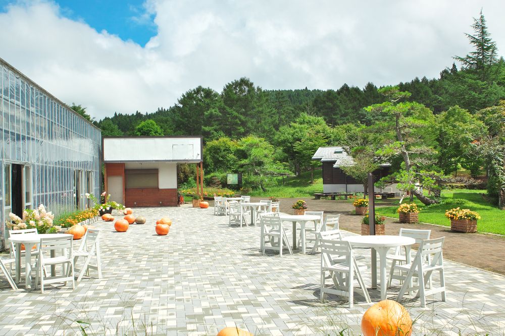 山中湖 花の都公園の画像 - 6枚目