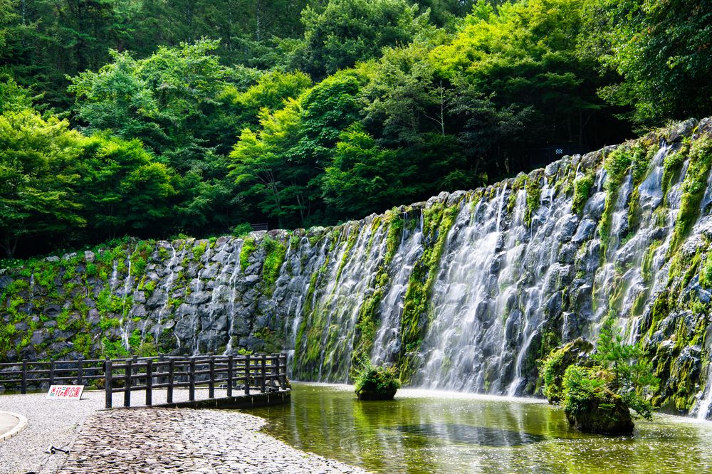 山中湖 花の都公園の画像 - 7枚目
