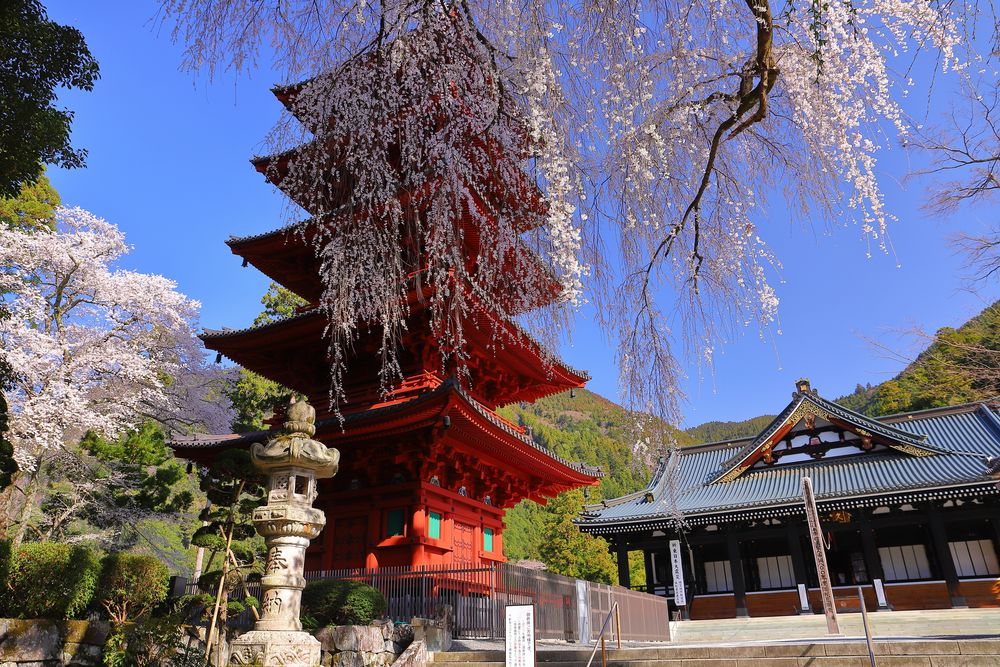 久遠寺の画像 - 5枚目