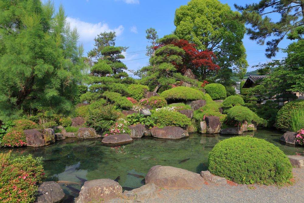 甲斐善光寺の画像 - 3枚目