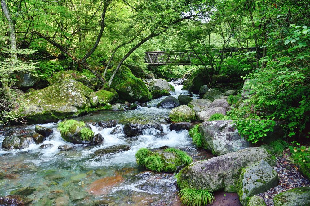 吐竜の滝の画像 - 2枚目