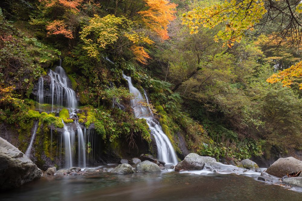 吐竜の滝の画像 - 4枚目