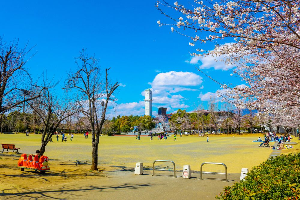 小瀬スポーツ公園の画像 - 3枚目