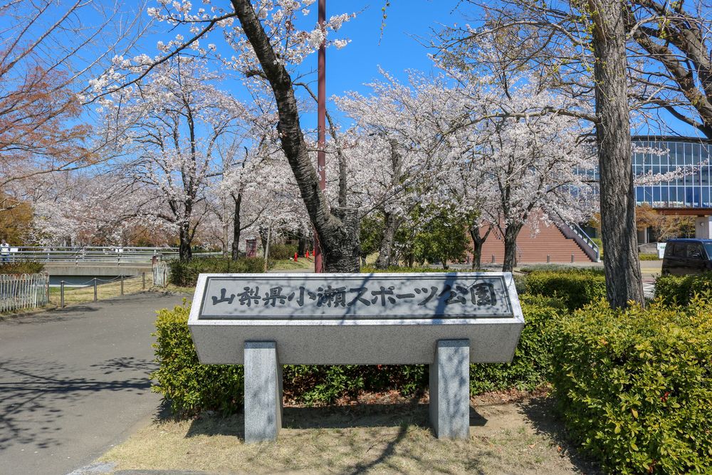 小瀬スポーツ公園の画像 - 5枚目