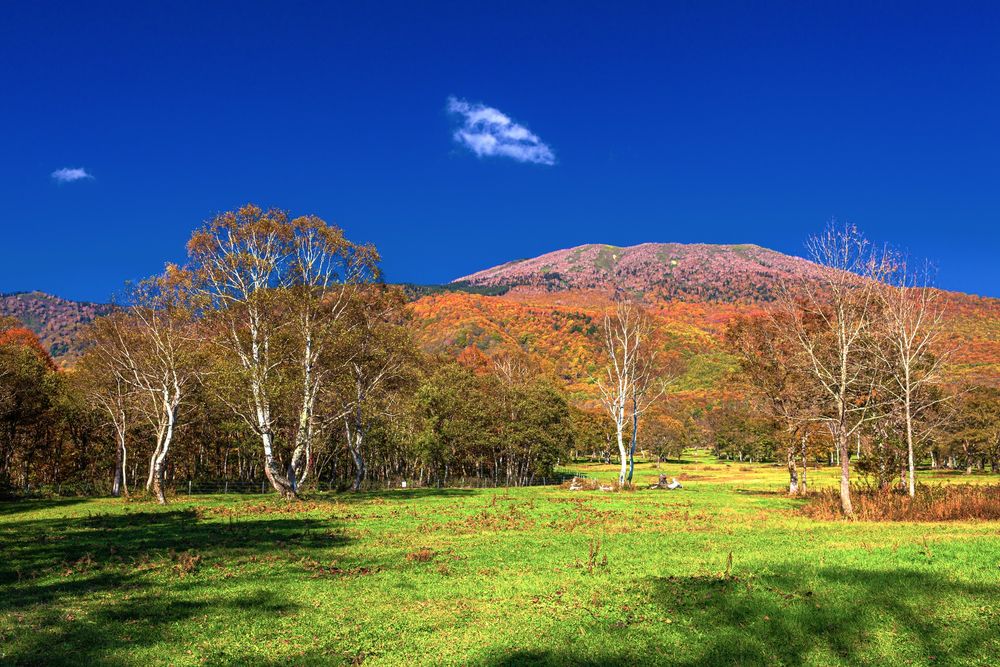妙高高原の画像 - 4枚目