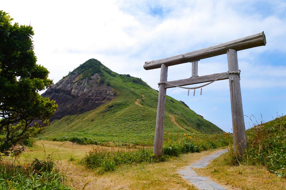 大野亀の画像 - 2枚目