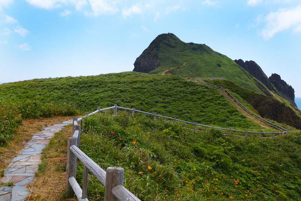 大野亀の画像 - 3枚目