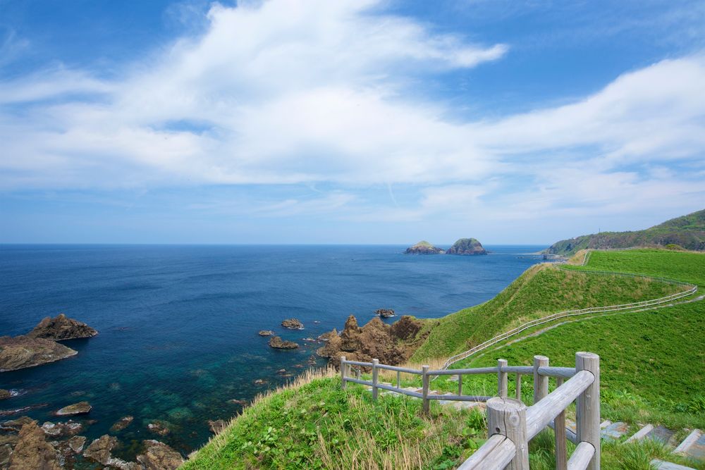 大野亀の画像 - 5枚目