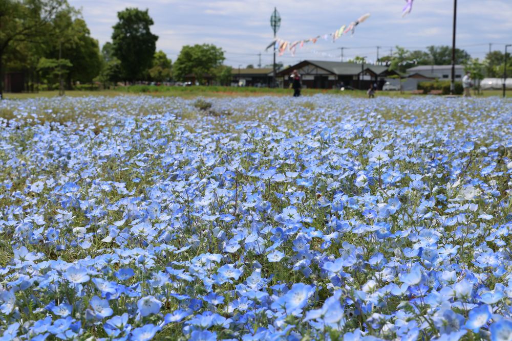 まつぶし緑の丘公園の画像 - 4枚目