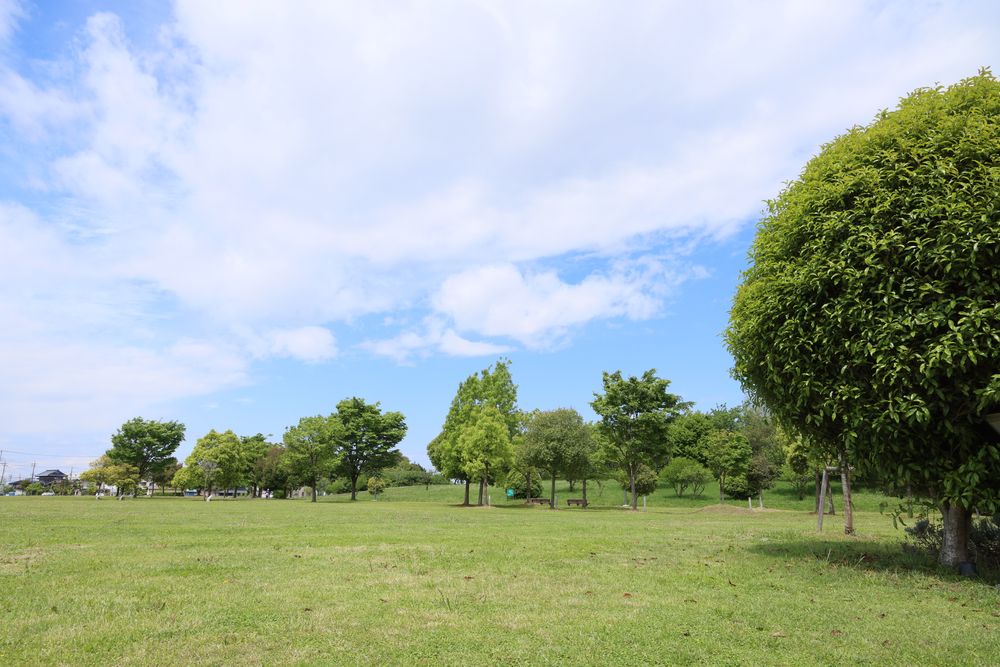 まつぶし緑の丘公園の画像 - 5枚目