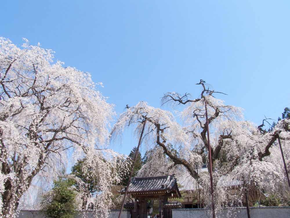 清雲寺