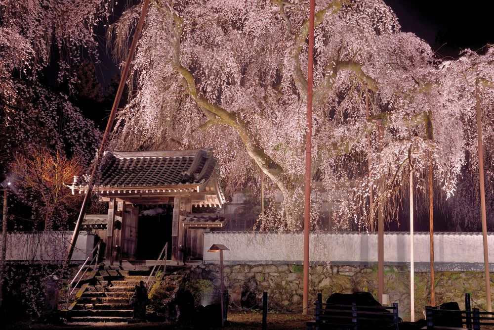 清雲寺の画像 - 5枚目