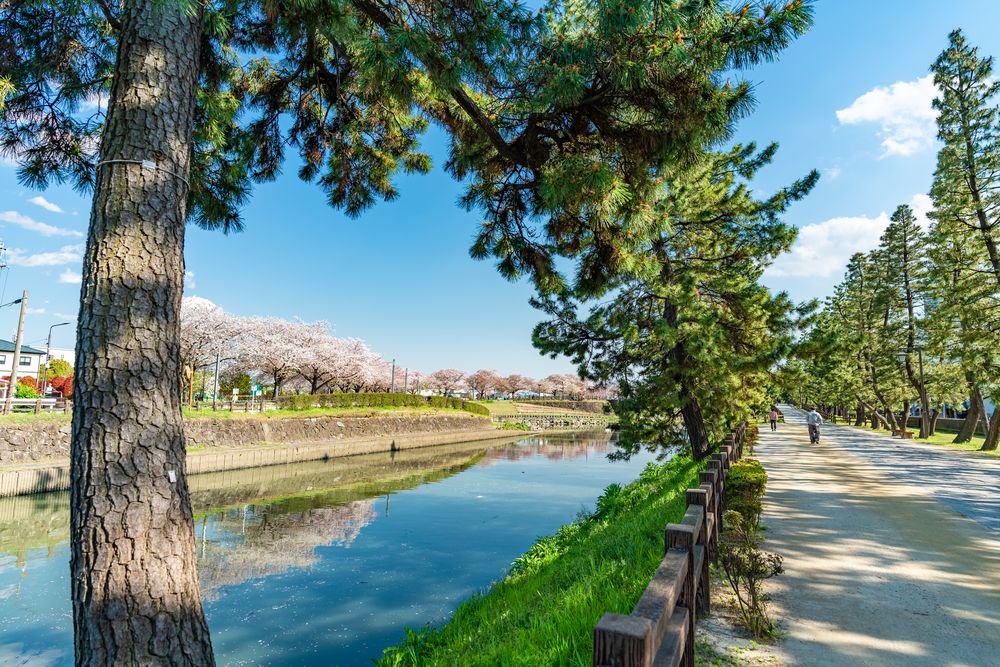 草加松原遊歩道─おくのほそ道の風景地の画像 - 3枚目