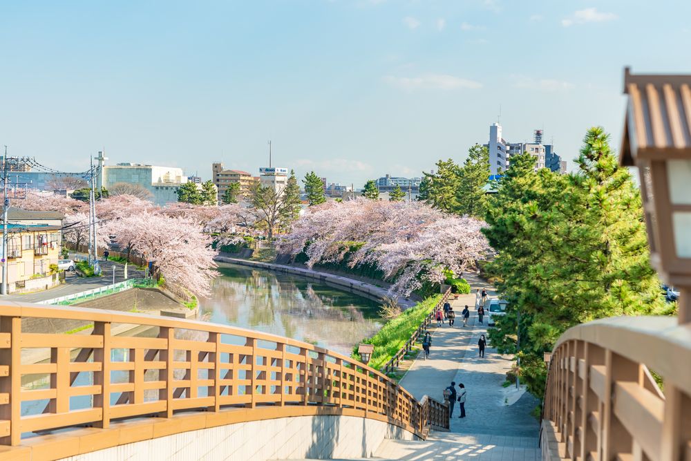 草加松原遊歩道─おくのほそ道の風景地の画像 - 4枚目