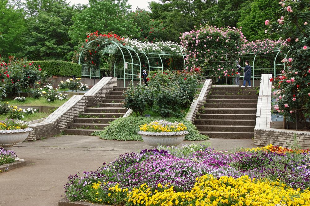 智光山公園の画像 - 5枚目