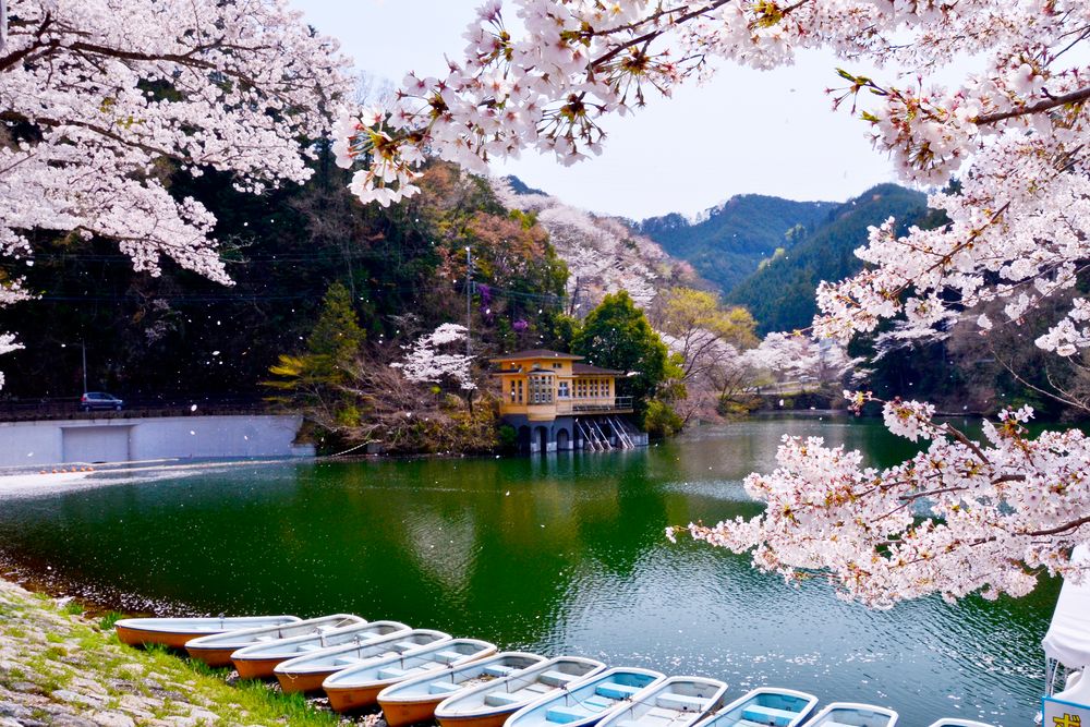 鎌北湖の画像 - 2枚目