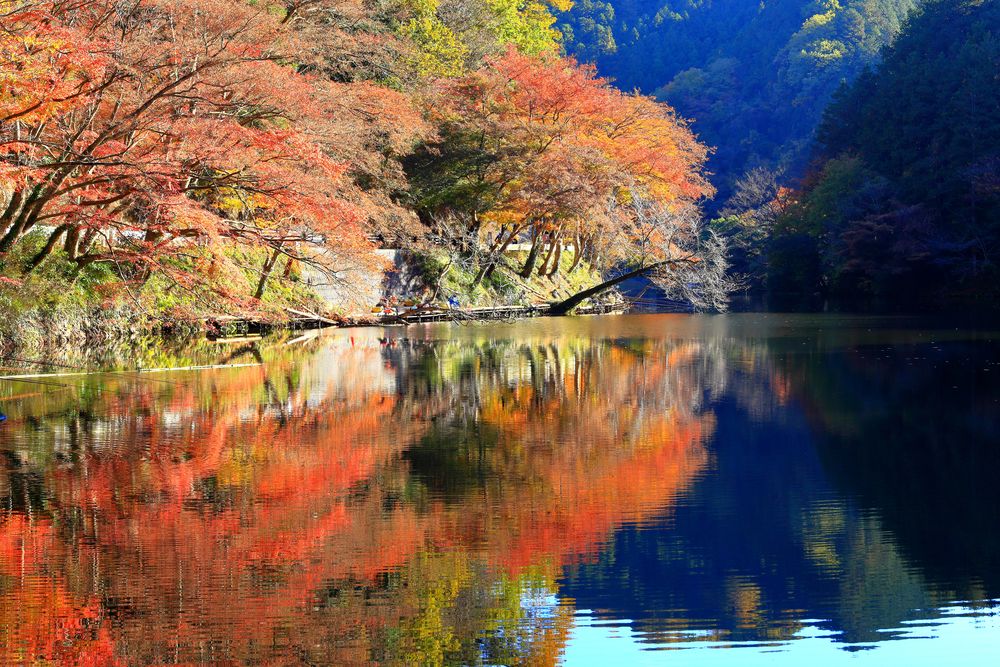 鎌北湖の画像 - 3枚目