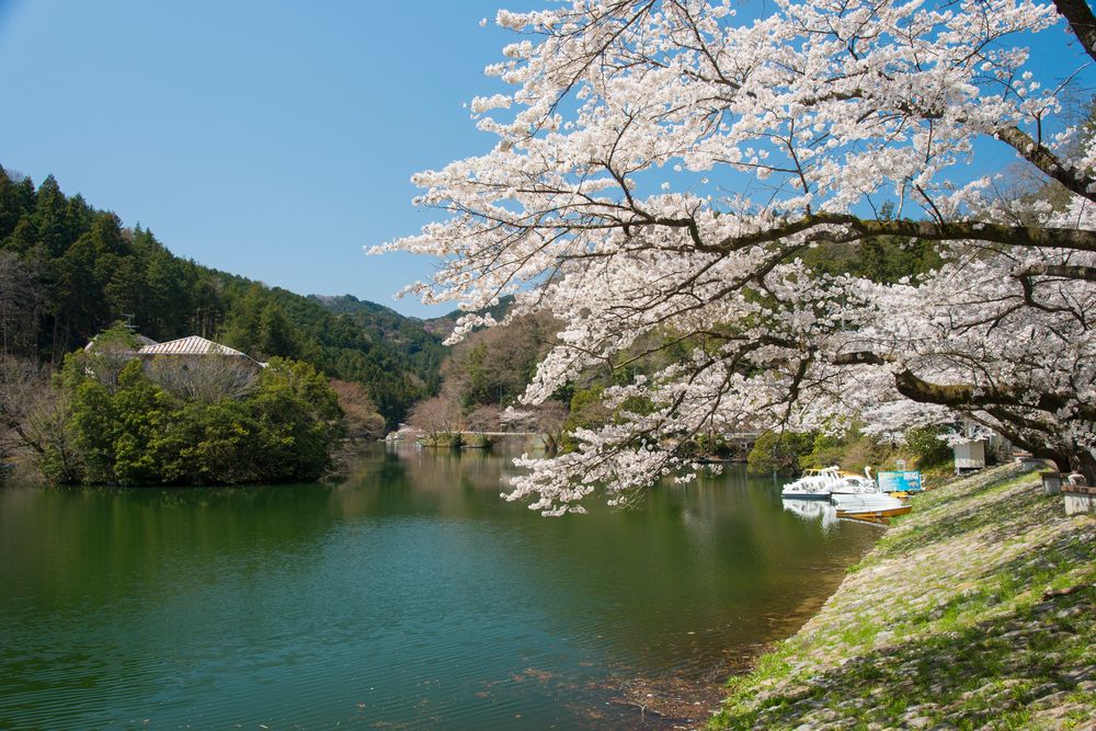 鎌北湖の画像 - 4枚目