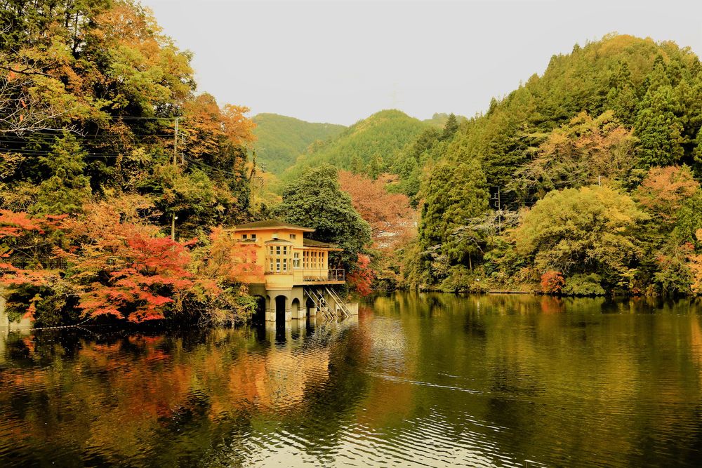 鎌北湖の画像 - 5枚目