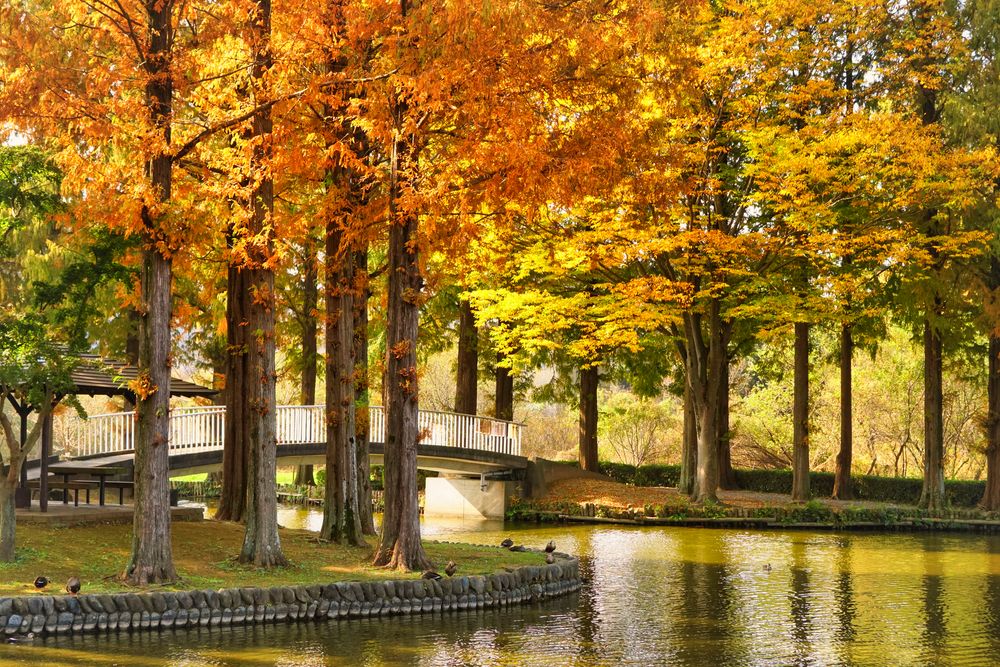 上尾丸山公園の画像 - 2枚目