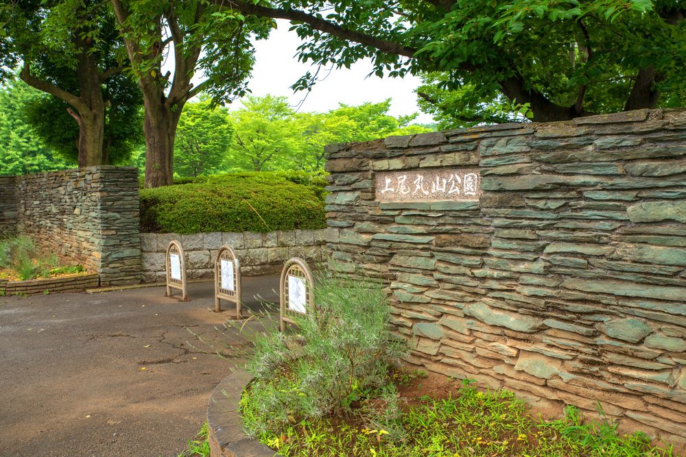 上尾丸山公園の画像 - 4枚目