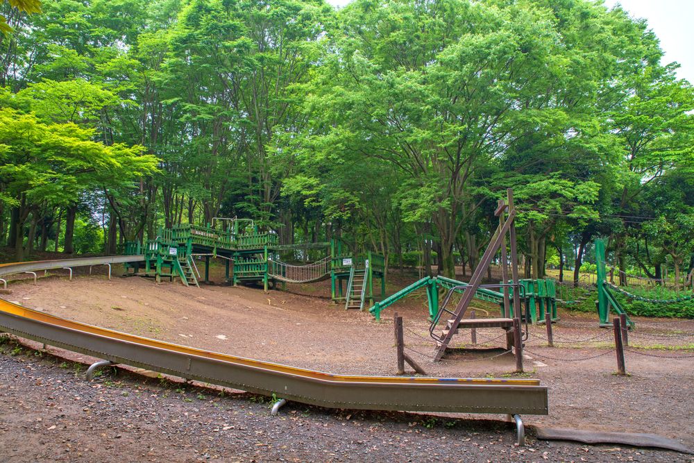上尾丸山公園の画像 - 5枚目